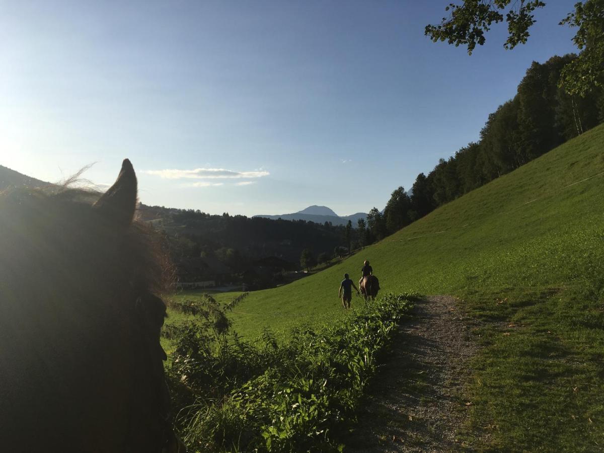 Ahlhof Villa Schladming Luaran gambar