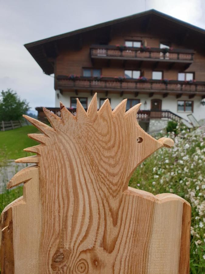 Ahlhof Villa Schladming Luaran gambar