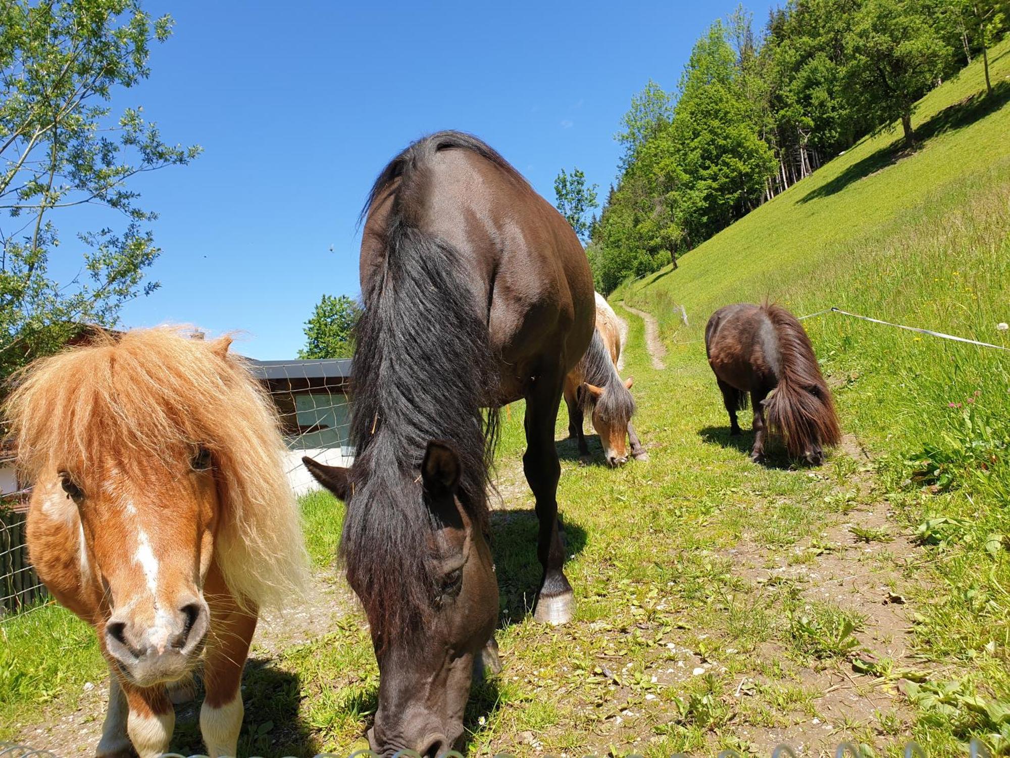 Ahlhof Villa Schladming Luaran gambar